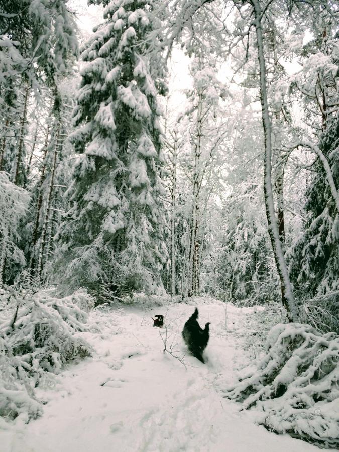 Stuga Glaskogen Glava Εξωτερικό φωτογραφία